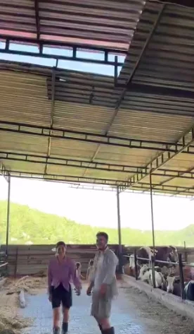 Ailece iş başında